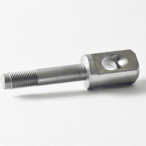 swivel eye